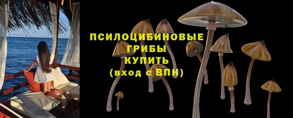 соль ск Мегион