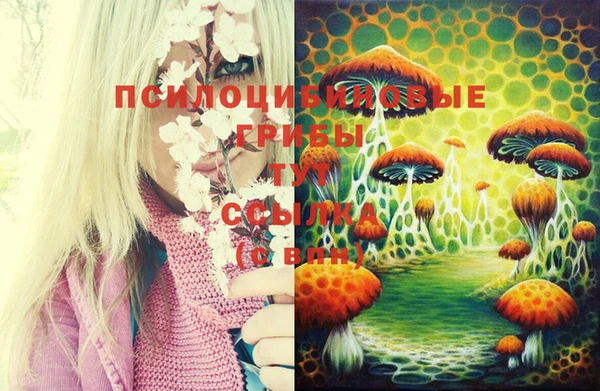 крисы Михайлов